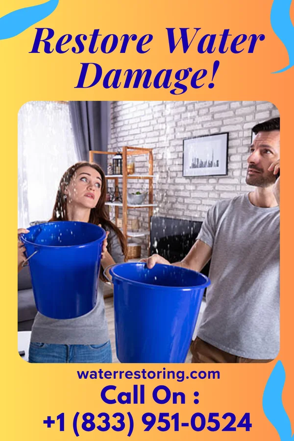 water restoration Reliable Flood Recovery Specialists Ridgely