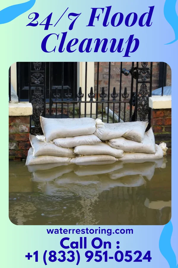 24/7 Flood Cleanup in Ridgely, TN