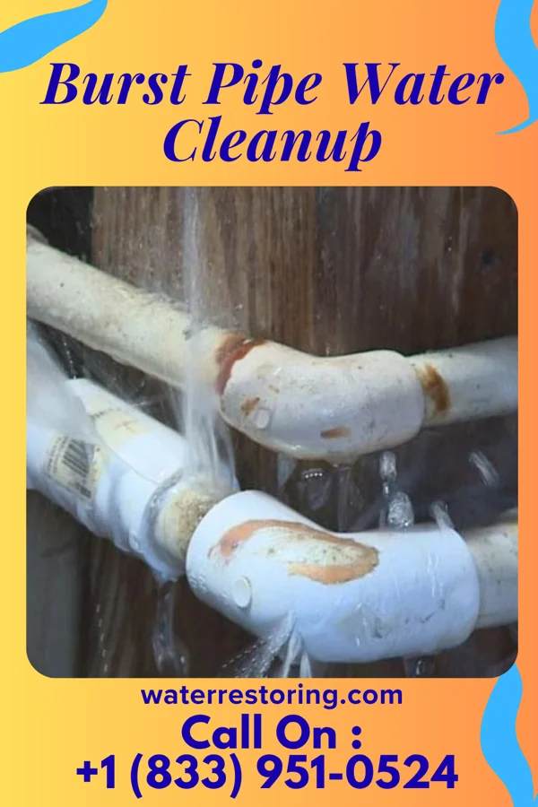 Burst Pipe Water Cleanup in Ridgely, TN