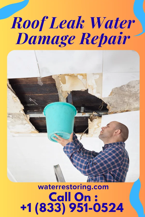 Roof Leak Water Damage Repair in Ridgely, TN